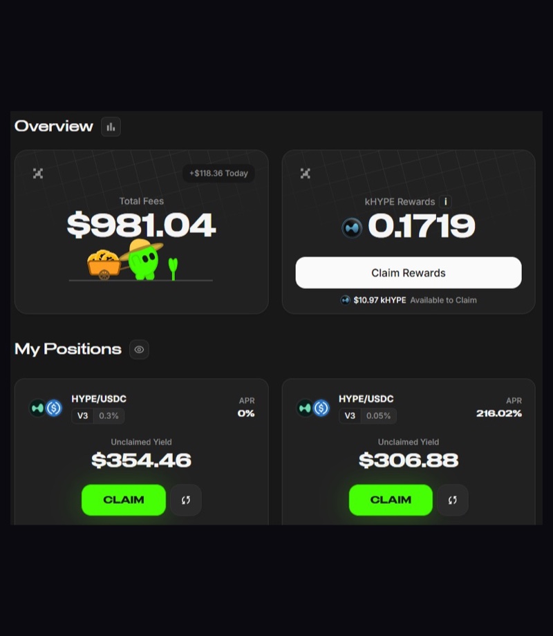Pools HYPE/USDC V3 com 981 dólares em taxas e APR de 216%